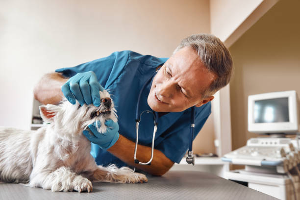 Best Emergency Tooth Extraction in Saginaw, MI